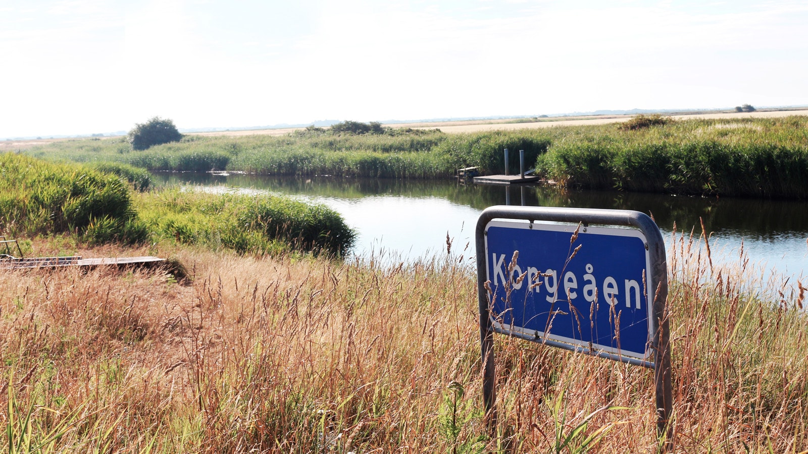 Skilt med teksten "Kongeåen" ved åløb i landskab.