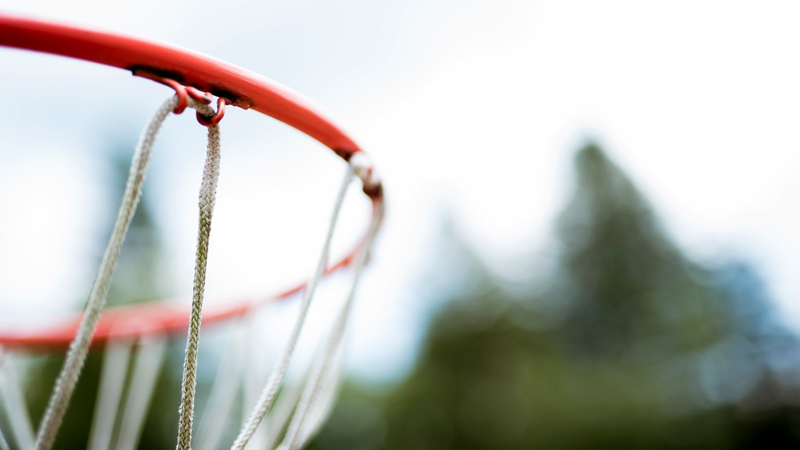 Sponsorater basketballkurv