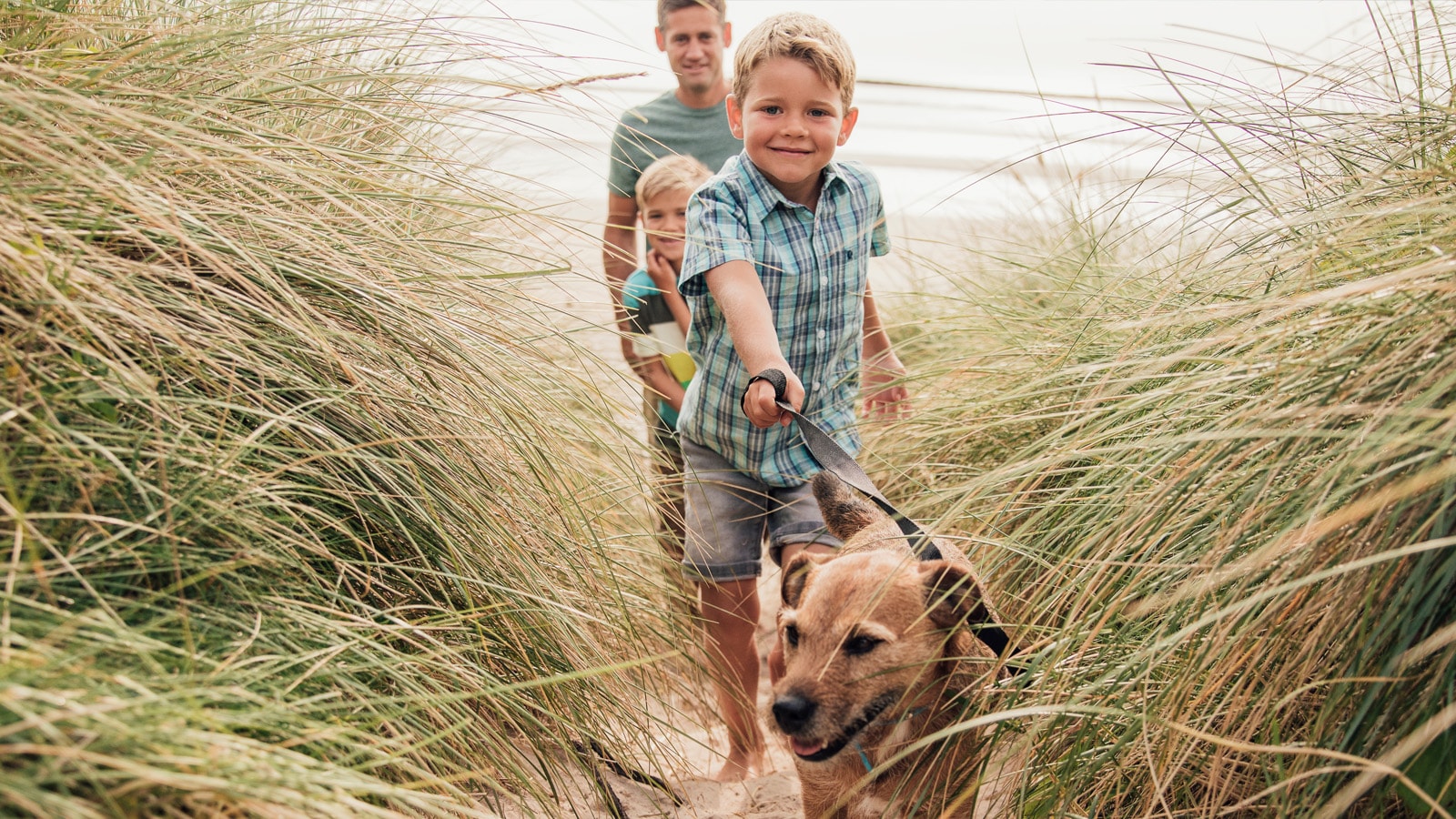 Nyhedsbrev familie lufter hund i klitterne