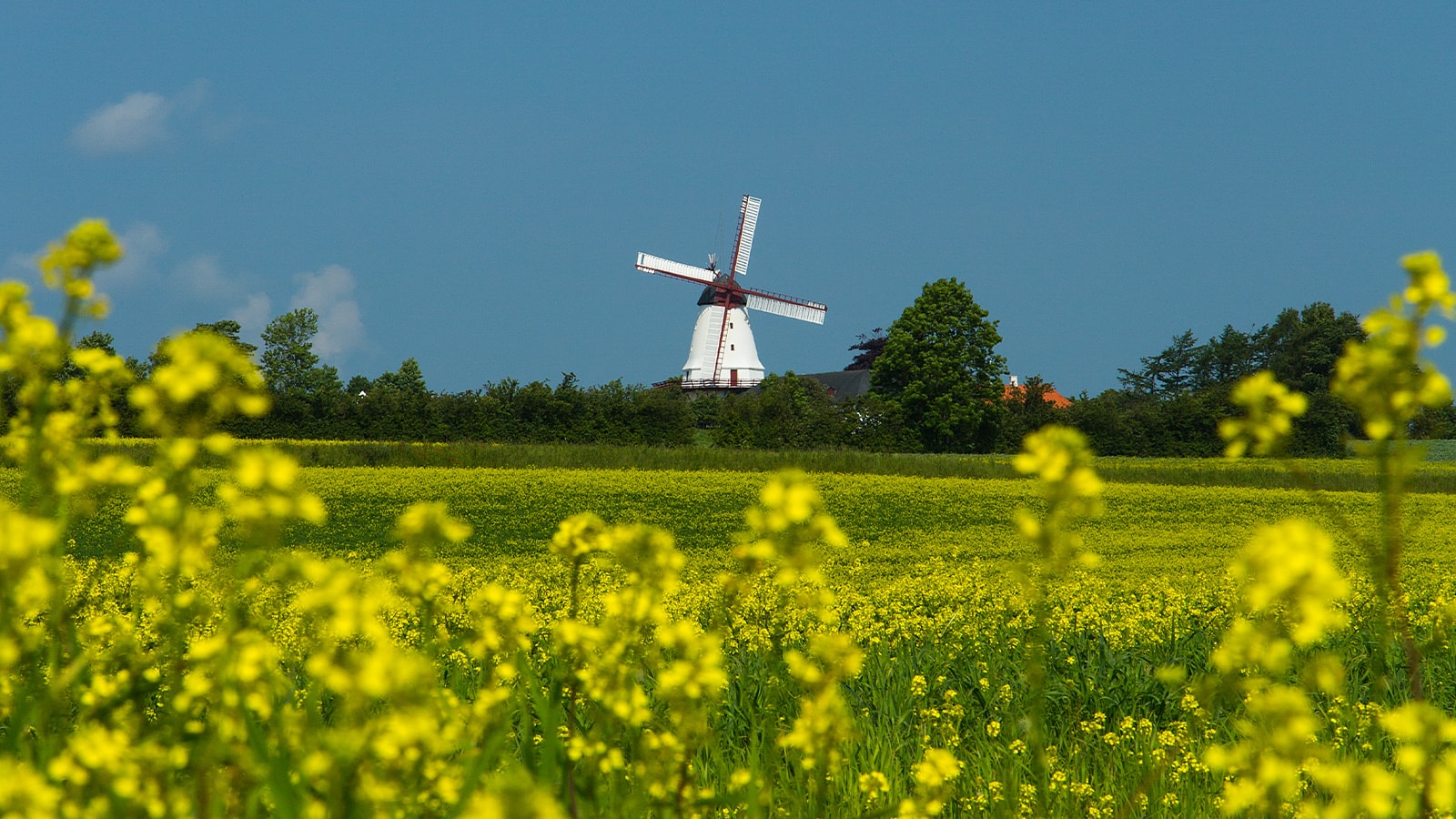 Dybbøl Mølle