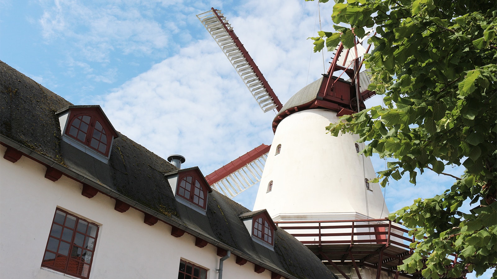 Dybbøl Mølle set nedefra.