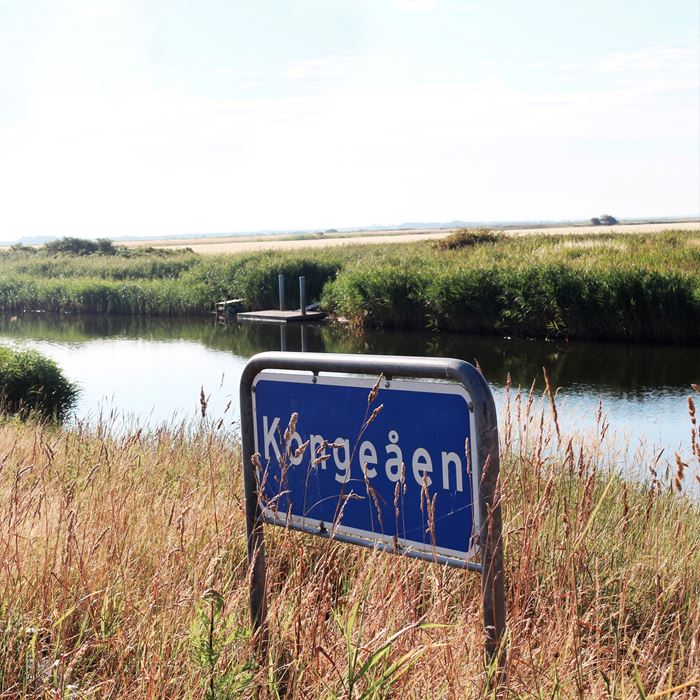 Kongeåen